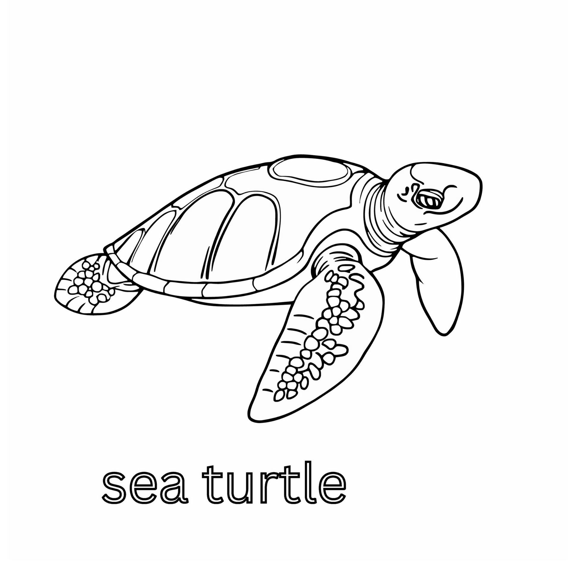 ocean's friends_coloring book for kids 3-8_ by kidsworld.ink